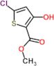 methyl 5-chloro-3-hydroxythiophene-2-carboxylate