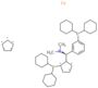 1,2,3,4,5-cyclopentanepentayl, 1-(dicyclohexylphosphino)-2-[(R)-[3-(dicyclohexylphosphino)phenyl](dimethylamino)methyl]-, compd. with 1,2,3,4,5-cyclopentanepentayl, iron salt (1:1:1)