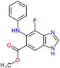 1H-Benzimidazole-5-carboxylic acid, 7-fluoro-6-(phenylamino)-, methyl ester