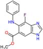 methyl 4-fluoro-5-(phenylamino)-1H-benzimidazole-6-carboxylate