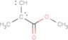 Poly(methyl methacrylate)