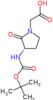 {(3S)-3-[(tert-butoxycarbonyl)amino]-2-oxopyrrolidin-1-yl}acetic acid