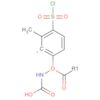 Carbamic acid, [4-(chlorosulfonyl)phenyl]-, methyl ester