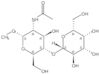 Methyl 2-(acetylamino)-2-deoxy-4-O-β-<span class="text-smallcaps">D</smallcap>-galactopyranosyl-α-<smallcap>D</span>-glucopyranoside