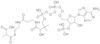 methylmalonyl coenzyme A tetralithium salt hexahydrate