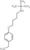 N-tert-butyl-4-(4-ethylphenoxy)butan-1-amine