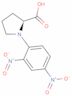 1-(2,4-Dinitrofenil)-L-prolina