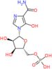 5-hydroxy-1-(5-O-phosphono-beta-D-ribofuranosyl)-1H-imidazole-4-carboxamide