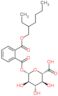 1-O-(2-{[(2-ethylhexyl)oxy]carbonyl}benzoyl)-beta-D-glucopyranuronic acid