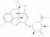 Morphine 6-glucuronide