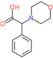 2-morpholino-2-phenylacetic acid