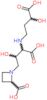 4-(2-carboxyazetidin-1-yl)-N-(3-carboxy-3-hydroxypropyl)threonine