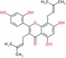 2-(2,4-dihydroxyphenyl)-5,7-dihydroxy-3,8-bis(3-methylbut-2-en-1-yl)-4H-chromen-4-one