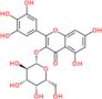 Myricetin 3-O-Galactosid