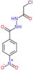 N'-(chloroacetyl)-4-nitrobenzohydrazide