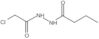 Butanoic acid, 2-(2-chloroacetyl)hydrazide