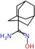 N'-hydroxytricyclo[3.3.1.1~3,7~]decane-1-carboximidamide