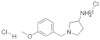 1-(3-METHOXY-BENZYL)-PYRROLIDIN-3-YLAMINE DIHYDROCHLORIDE