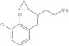 N1-Cyclopropyl-N1-[(2,3-dichlorophenyl)methyl]-1,2-ethanediamine