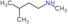 N,3-dimethylbutan-1-amine