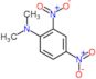 N,N-dimethyl-2,4-dinitroaniline