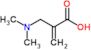 2-[(dimethylamino)methyl]prop-2-enoic acid