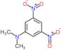 N,N-dimethyl-3,5-dinitro-aniline