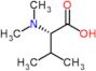 (2S)-2-dimethylamino-3-methyl-butanoic acid