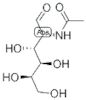 N-acetyl-β-D-galactosamine