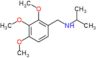 N-(2,3,4-trimethoxybenzyl)propan-2-amine