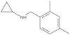 N-Cyclopropyl-2,4-dimethylbenzenemethanamine