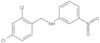 2,4-Dichloro-N-(3-nitrophenyl)benzenemethanamine