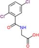 N-[(2,5-dichlorophenyl)carbonyl]glycine