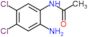 N-(2-amino-4,5-dichlorophenyl)acetamide