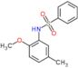 N-(2-methoxy-5-methylphenyl)benzenesulfonamide