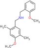 N-(2-methoxybenzyl)-1-(4-methoxy-2,5-dimethylphenyl)methanamine