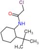 N-(2-tert-butylcyclohexyl)-2-chloro-acetamide