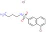 3-{[(5-chloronaphthalen-2-yl)sulfonyl]amino}propan-1-aminium chloride