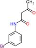 N-(3-bromophenyl)-3-oxobutanamide