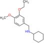 N-(3-ethoxy-4-methoxybenzyl)cyclohexanamine