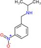 N-(3-nitrobenzyl)propan-2-amine