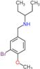 N-(3-bromo-4-methoxybenzyl)pentan-3-amine