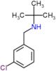 N-(3-chlorobenzyl)-2-methylpropan-2-amine