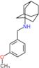 N-(3-methoxybenzyl)tricyclo[3.3.1.1~3,7~]decan-1-amine