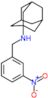 N-(3-nitrobenzyl)tricyclo[3.3.1.1~3,7~]decan-1-amine