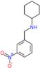 N-(3-nitrobenzyl)cyclohexanamine