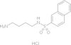 N-(4-aminobutyl)-2-naphthalene-*sulfonamide hydro