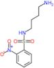 N-(4-aminobutyl)-2-nitrobenzenesulfonamide