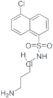 N-(4-aminobutyl)-5-chloro-1-*naphthalenesulfonami