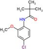 N-(4-chloro-2-methoxyphenyl)-2,2-dimethylpropanamide